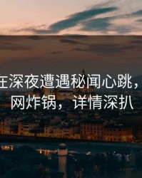 当事人在深夜遭遇秘闻心跳，pixiv全网炸锅，详情深扒