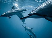 我把数据复盘了一遍：你以为91视频只是界面不同？其实入口理解才是关键