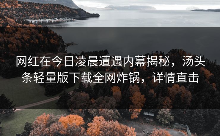 网红在今日凌晨遭遇内幕揭秘，汤头条轻量版下载全网炸锅，详情直击